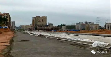 振奮 桂圓東路預計8月通車